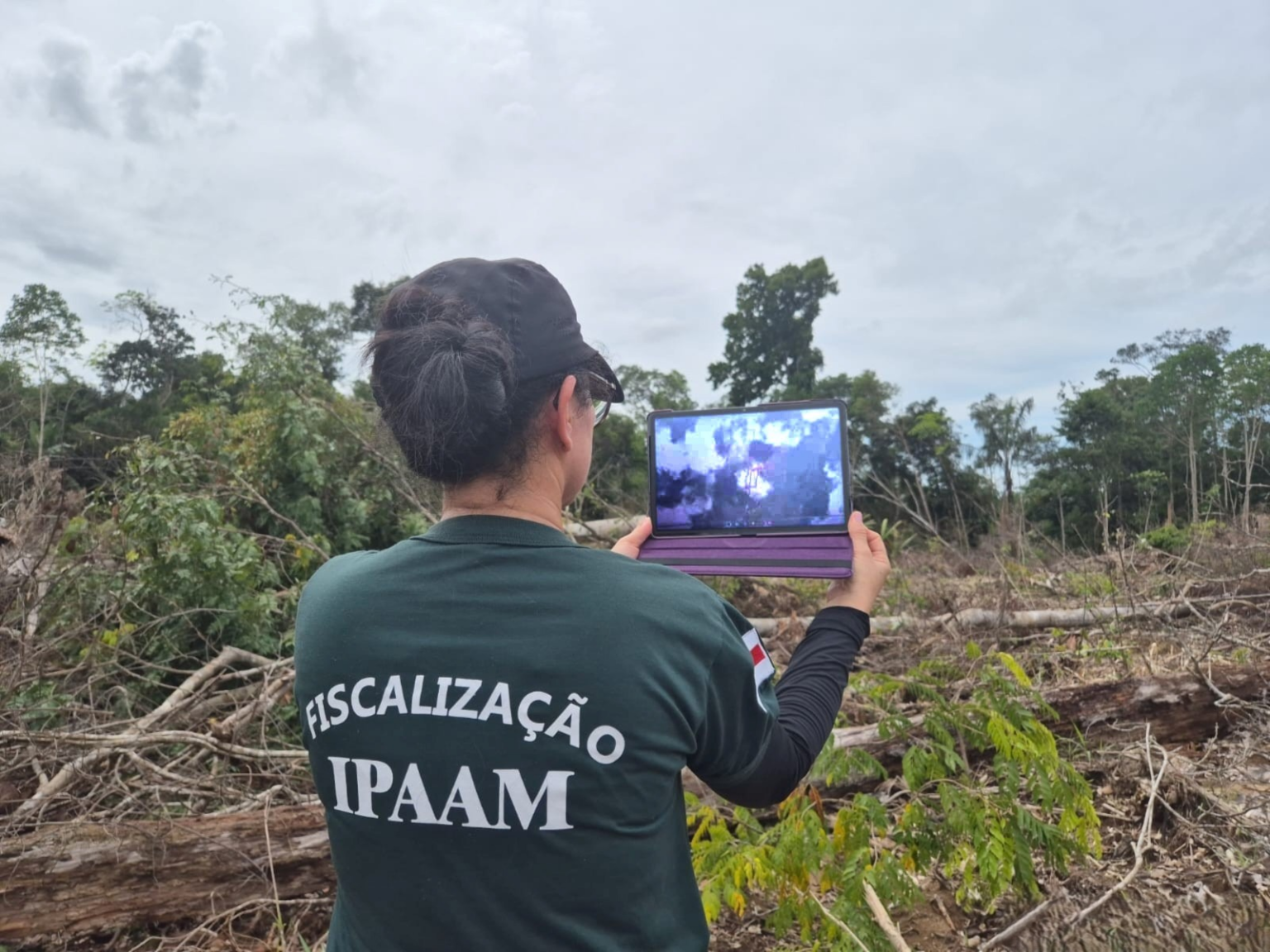 Operação aplica mais de R$ 10 milhões em multas por crimes ambientais no Amazonas