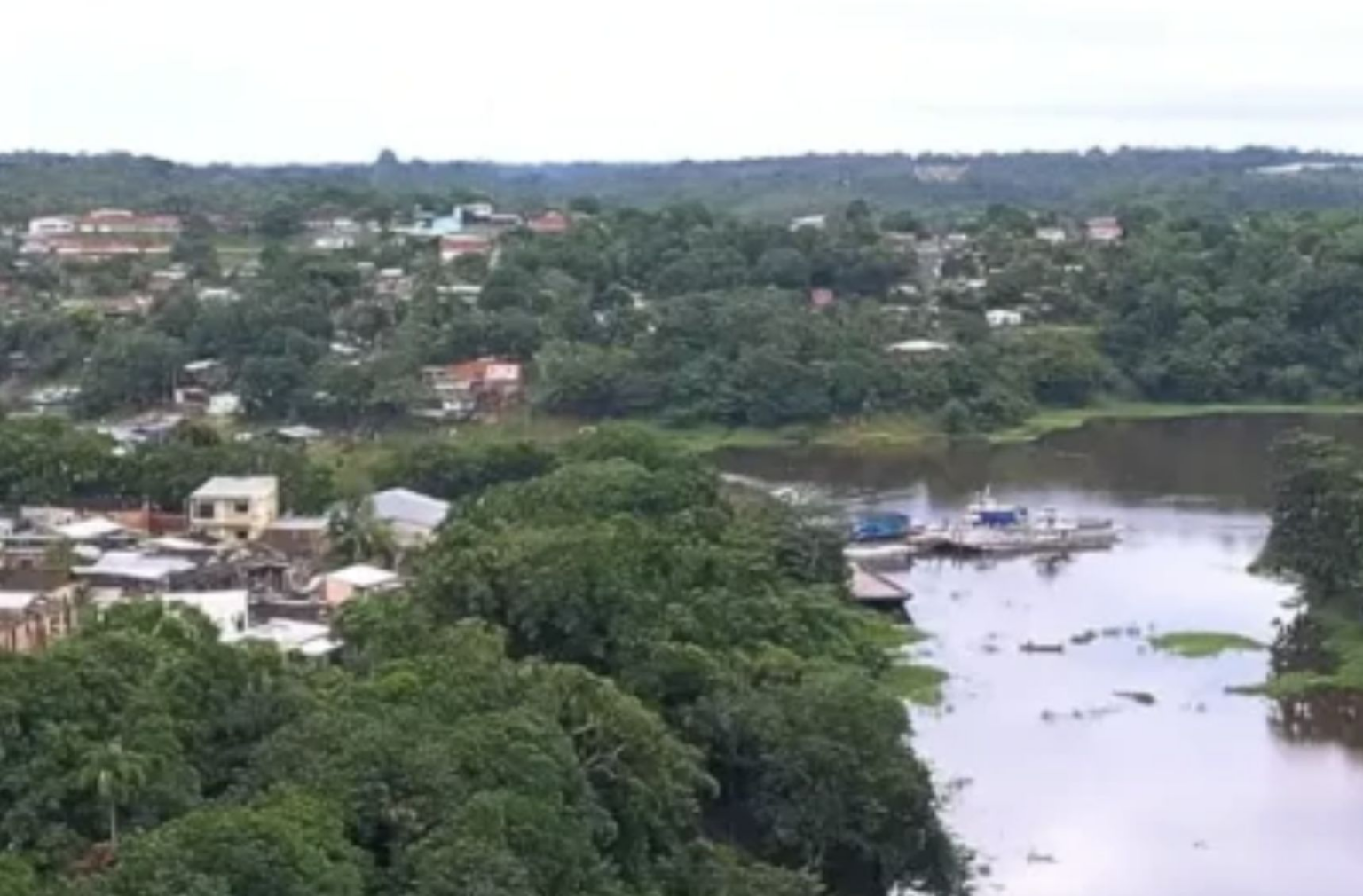 Na Amazônia, malária, doença de Chagas, dengue e leishmanioses acompanham condições de ocupação do solo, aponta estudo