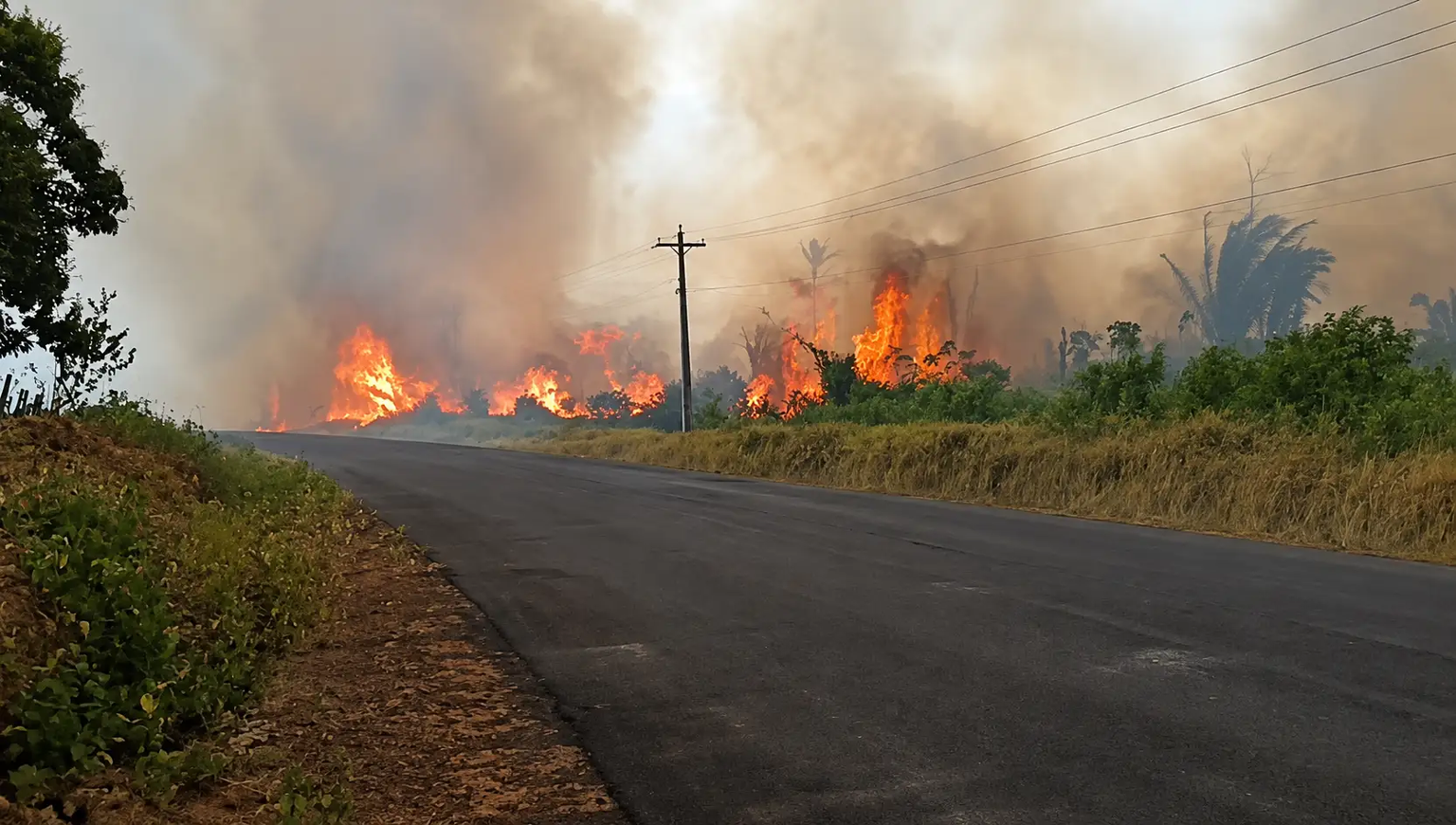 Incêndio em área de mata assusta moradores no interior do Amazonas